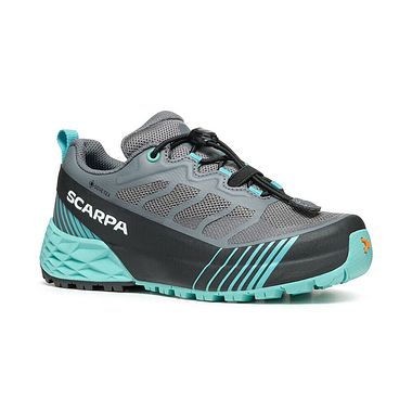 Ribelle Run Kid Gtx Anthr/BlueTurquoi