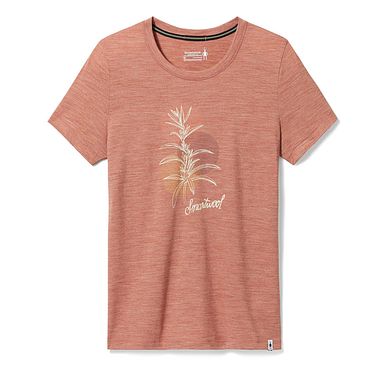 Ws Short Sleeve Graphic Tee Copper Heather